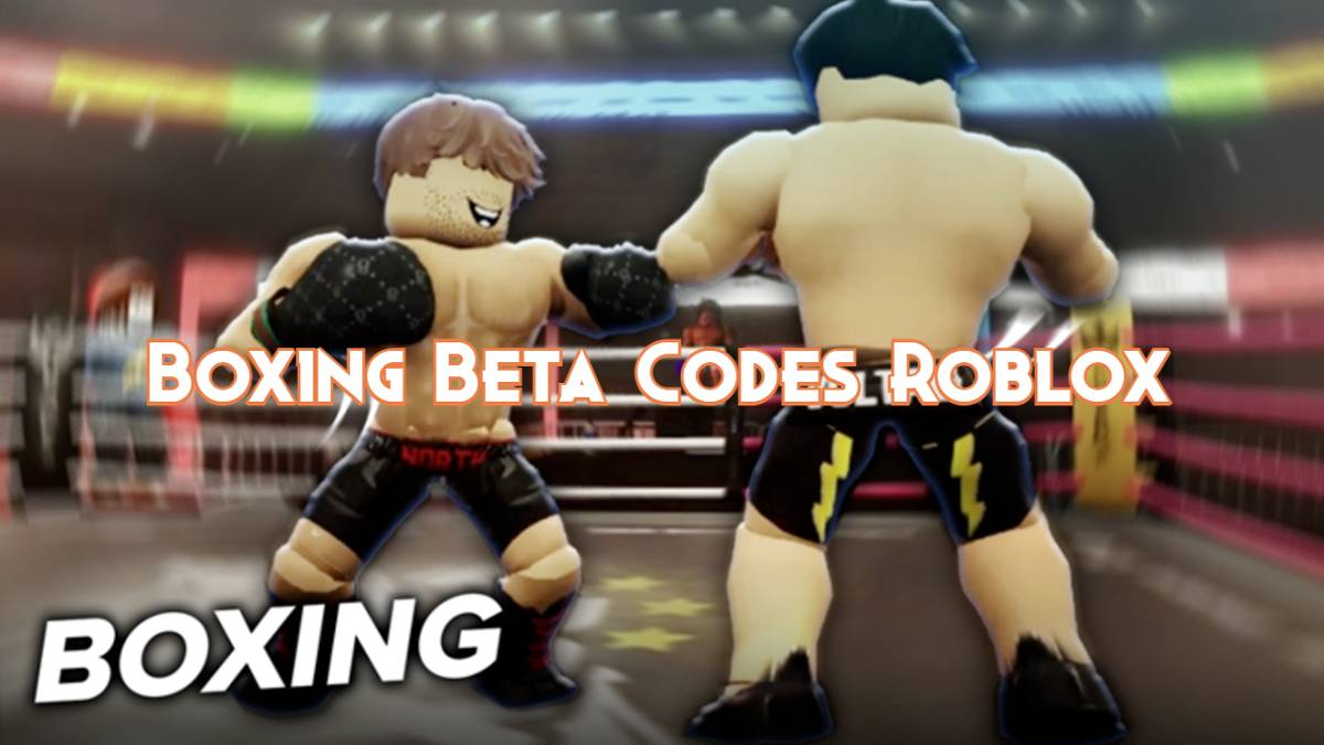 code-boxing-beta-moi-nhat